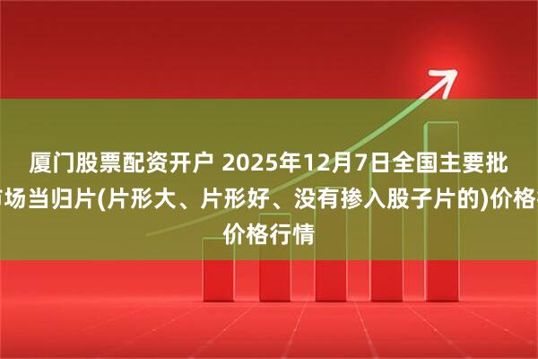 厦门股票配资开户 2025年12月7日全国主要批发市场当归片(片形大、片形好、没有掺入股子片的)价格行情